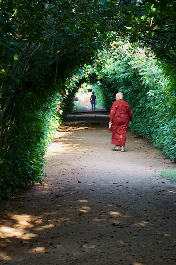 Stillsein ist leicht, wenn keiner redet: 10 Tage Vipassana-Meditation in Sri Lanka 6