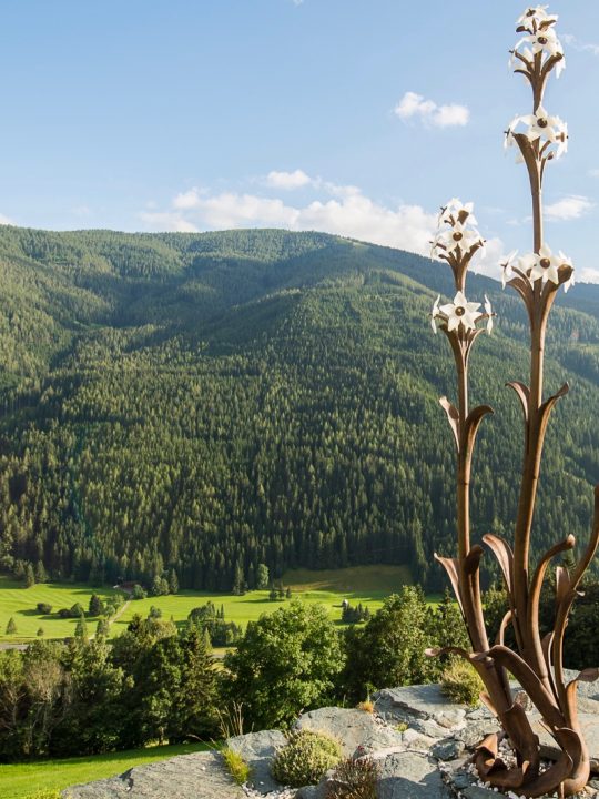 Was ist eigentlich ein Speick? Oder: Wie die Almwiese in die Seife kommt 6