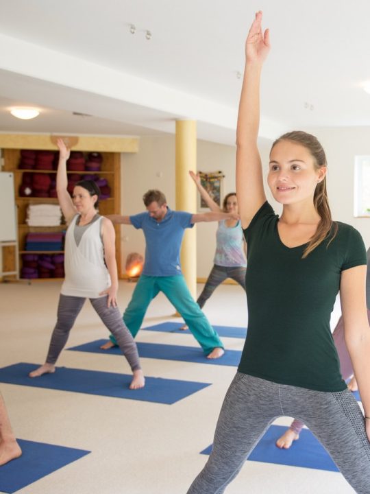 Yoga Vidya: In 4 Wochen, 2 oder 3 Jahren Yogalehrer*in werden 10