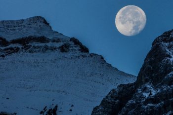 Moonvibes Januar: Vollmond in Löwe am 28.01.21