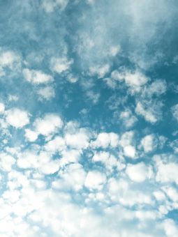 Transformative Atemsessions mit Rebecca: Online und in Berlin